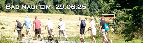 Banner-sp2507.jpg