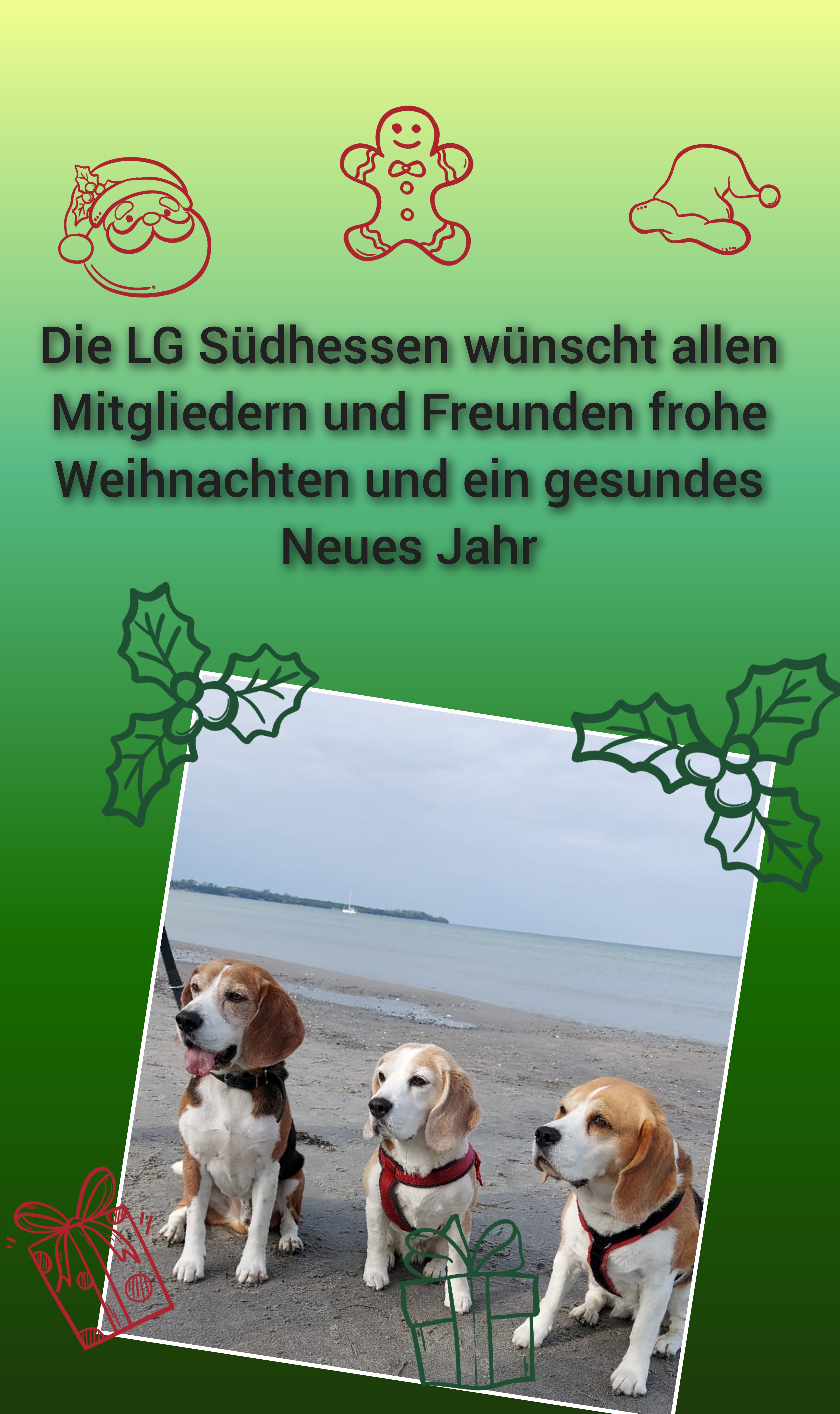 Fotos 2025 - Weihnachten.jpg